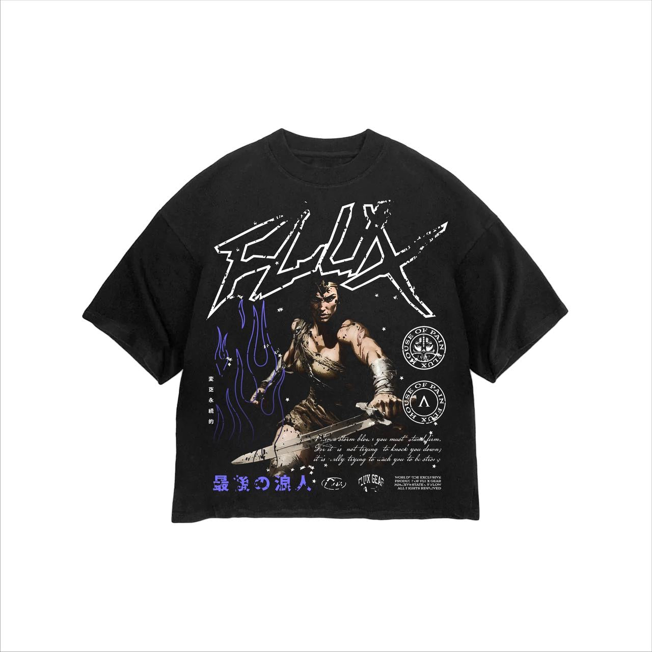 The Beautiful & Brutal Gladiator Graphic Tee